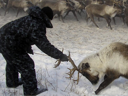 The Yukaghirs’ traditions of connecting with nature